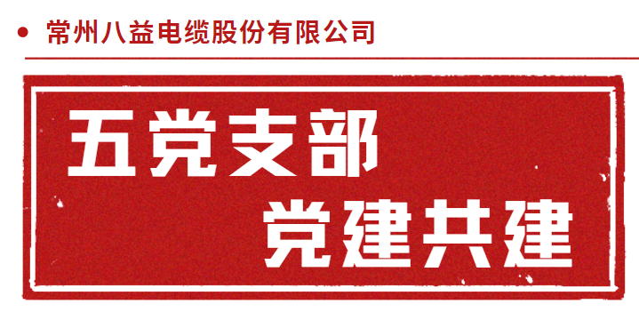 三門核電倒送電耐火電纜 五黨支部黨建共建！